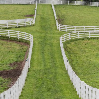 The Space Between the Paddocks on early summer day